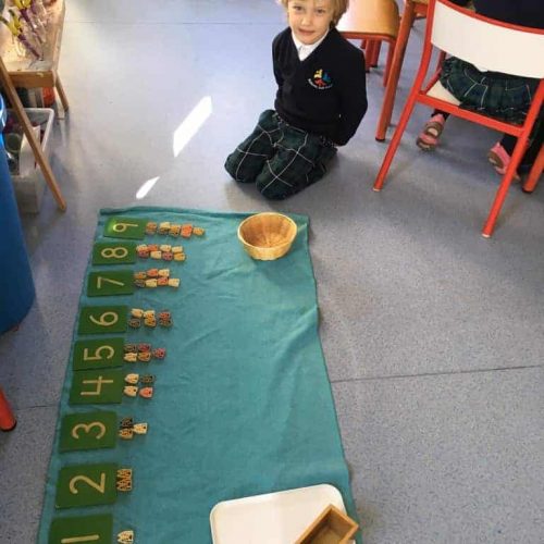 Number work in preprimary