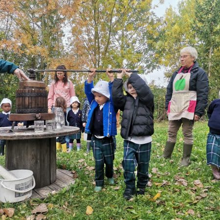 preprimary trip apple picking
